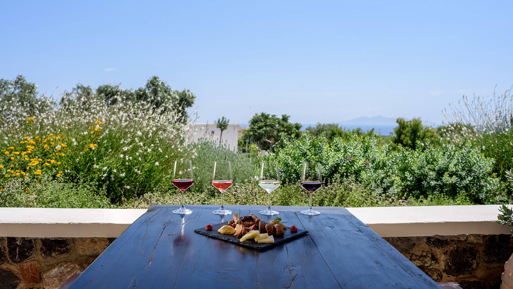 Wine Tours
