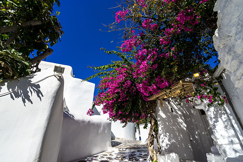 Santorini Cave House Cooking Class