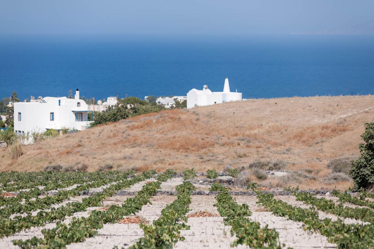 Santorini Wine Roads