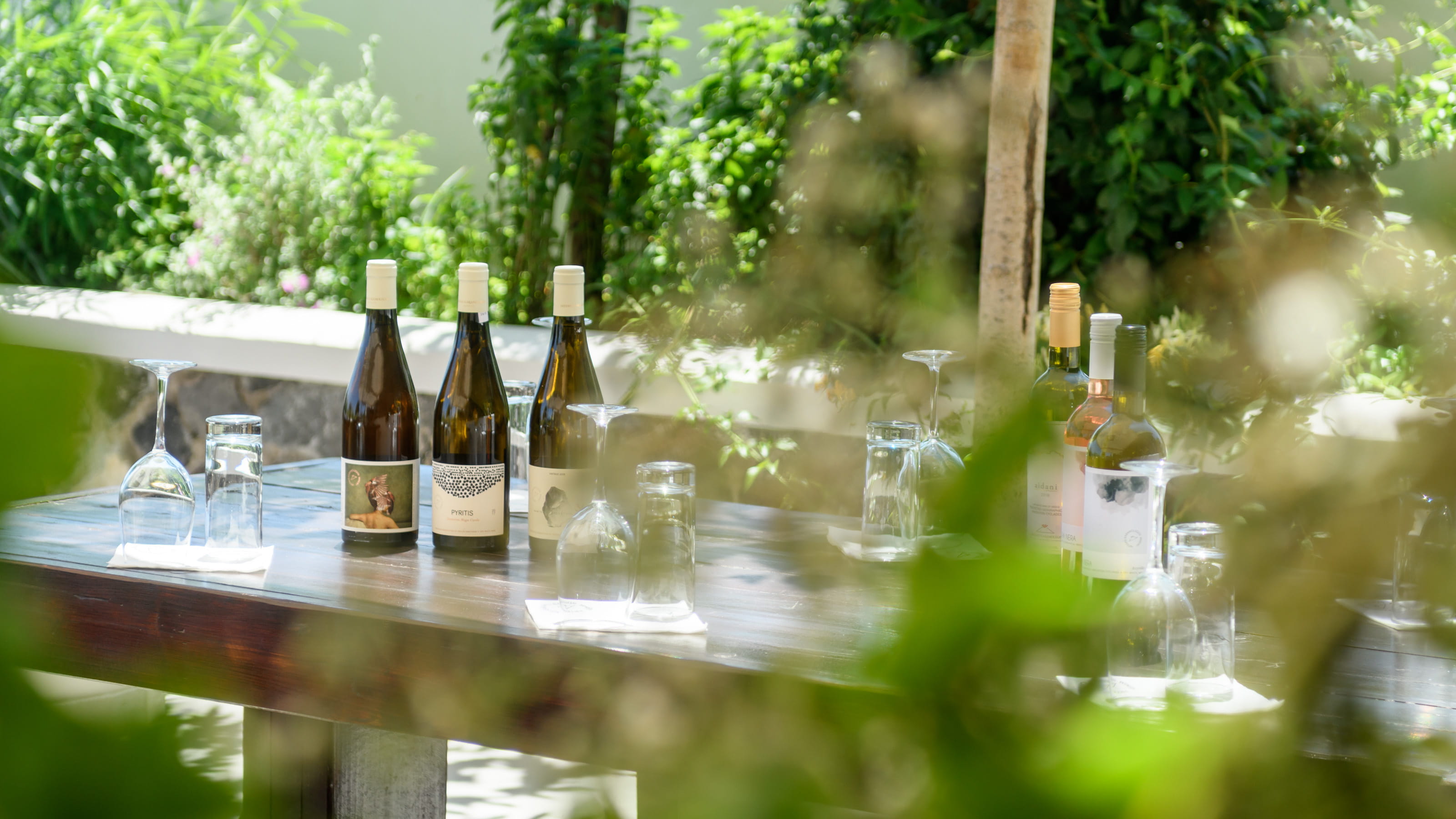 Santorini Wonders Wine Tour